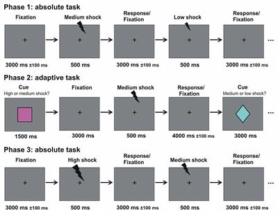 Neural Habituation to Painful Stimuli Is Modulated by Dopamine: Evidence from a Pharmacological fMRI Study